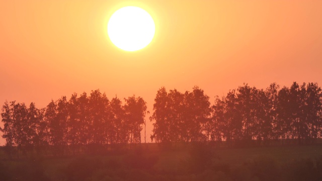 夏天的俄罗斯，太阳在树木的背景下从地平线上落下视频素材