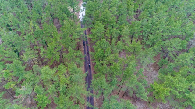 韩国济州岛哈拉山公路上行驶的汽车和自行车视频素材