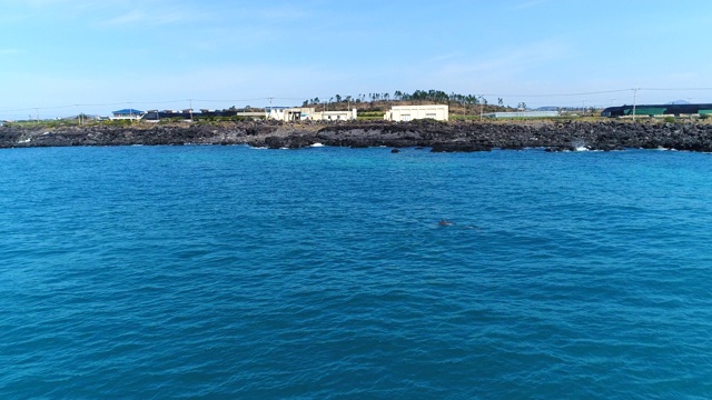 海豚群和海边村庄/西浦浦，济州岛，韩国视频素材