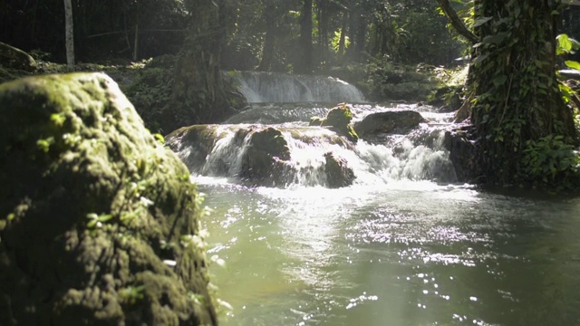 在丛林的阳光下，淡水急流流入天然池塘。风景溪流瀑布流过岩石通过绿色植物在热带雨林。视频素材