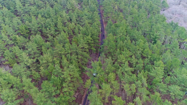 韩国济州岛哈拉山公路上行驶的汽车和自行车视频素材