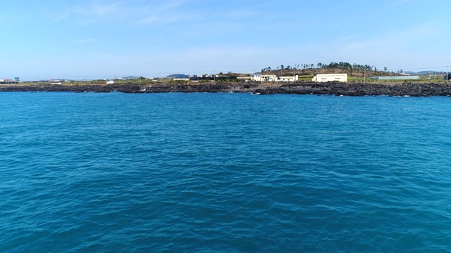 海豚群和海边村庄/西浦浦，济州岛，韩国视频素材