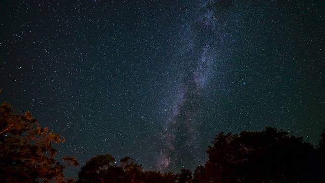 夜晚银河的时间流逝移动在树上与闪光的反射视频素材