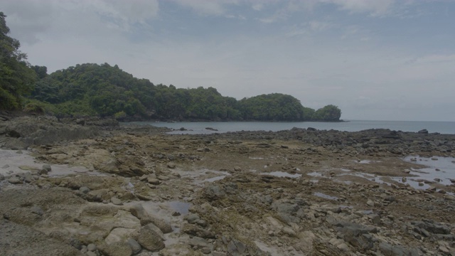 荒岛视频下载