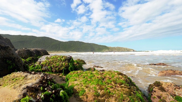 东泻湖海滩，Florianópolis，巴西视频素材