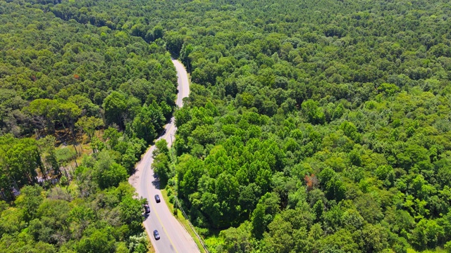 鸟瞰图的乡村道路通过绿色森林的省道一个美丽的夏天在美国视频素材