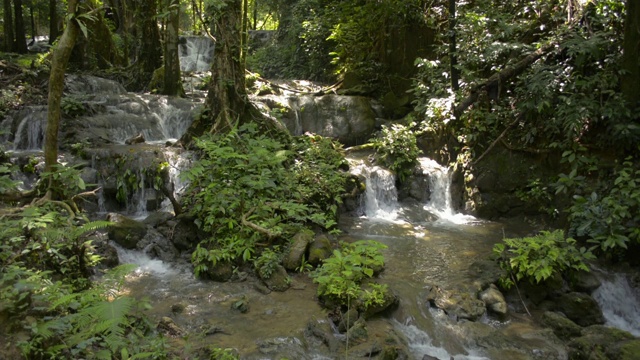 美丽的风景，水从瀑布流过岩石，通过绿色植物在肥沃的森林。视频素材