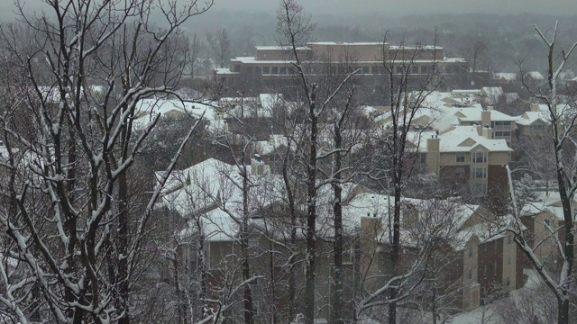 宁静的雪，雪花落在小公寓和树的背景在弗吉尼亚州。视频素材