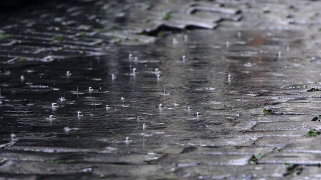 雨中水坑中汽车灯光的反射视频素材