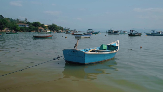 海上渔船上的鸟视频素材