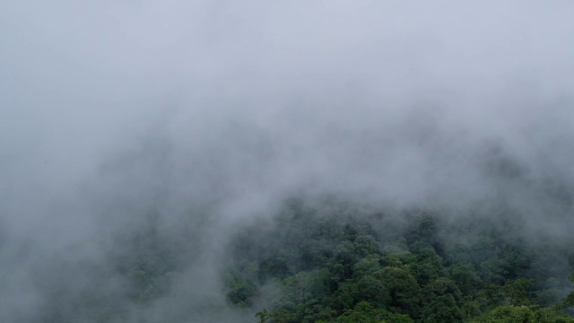 在雾天的山上无人机视频素材