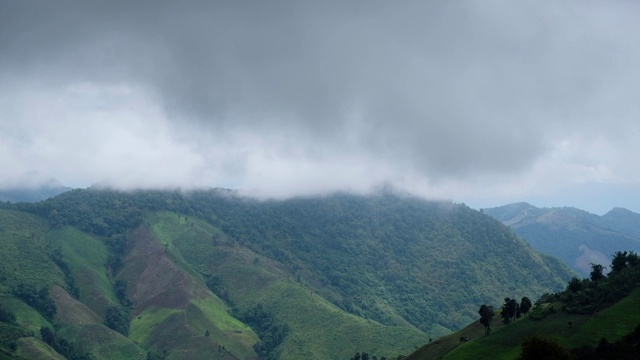 绿树雨林山与多云的天空视频素材