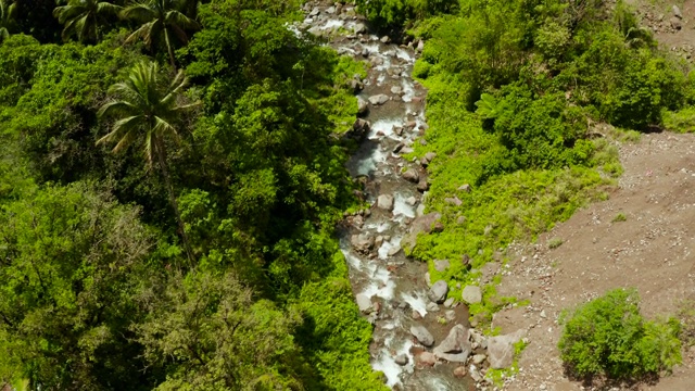 河流在菲律宾卡米圭因的山区丛林中流淌视频素材