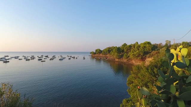 平静的海湾视频素材