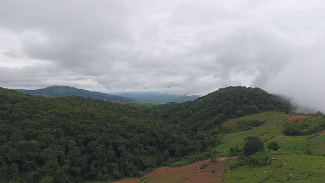 冬季热带森林，山间雾视频素材