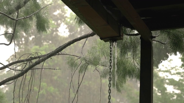 下雨了。雨水落在以木麻黄树为背景的凉棚和排水管上。视频素材