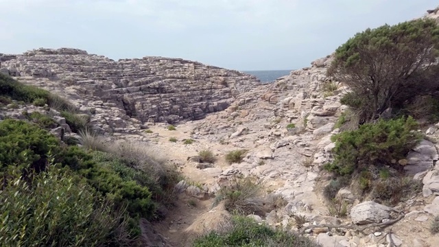 荒野一瞥许多悬崖和地中海植物移动的风视频素材