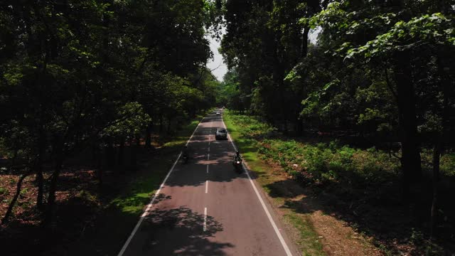 深森林树木景观笔直的道路鸟瞰图。视频素材