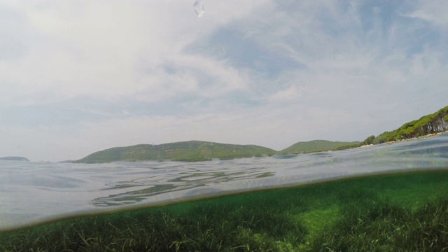 穆戈尼海滩水下的海藻，背景是卡波·卡西亚。意大利撒丁岛视频素材