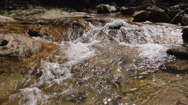 山溪在夏末视频素材