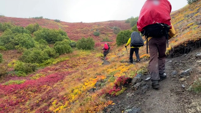 一群背着大背包、拄着拐杖的游客正沿着山路走着。视频素材