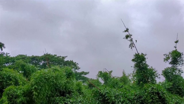 在印度北部的一个雨天，暴风雨天的时间圈镜头。视频下载