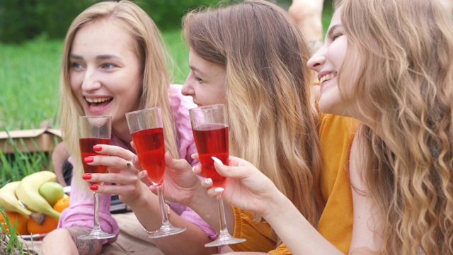 年轻女子喝葡萄酒夏季户外派对。女孩们在乡村公园的草地上享受野餐。快乐朋友庆祝节日休闲。女性的友谊。学生的假期。酒精饮料。视频素材