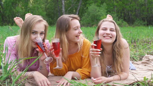 年轻女子喝葡萄酒夏季户外派对。女孩们在乡村公园的草地上享受野餐。快乐朋友庆祝节日休闲。女性的友谊。学生的假期。酒精饮料。视频素材