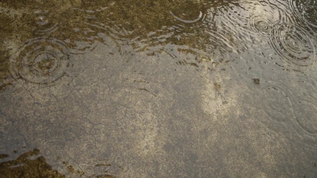 季雨落在地上。小雨点落在混凝土屋顶表面的视频画面。雨落声效果。雨的声音。雨季，自然背景。关闭了。视频素材