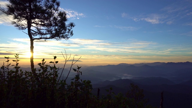 美丽的阳光日出或日落在山上的森林与树木生长在山丘上视频素材