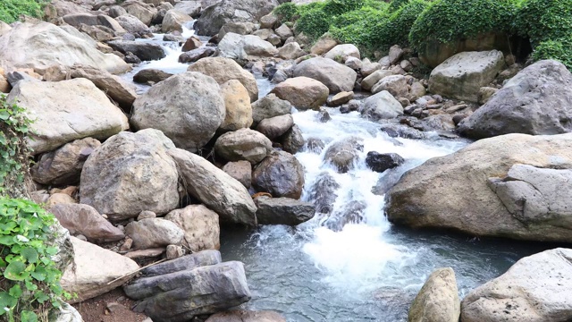 热带流视频下载