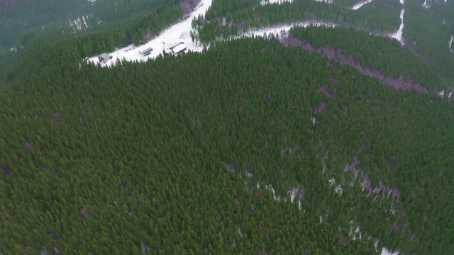 鸟瞰山林，鸟瞰山林中美丽的森林，鸟瞰云杉林，山川景观，飞跃山林与野生森林。视频素材