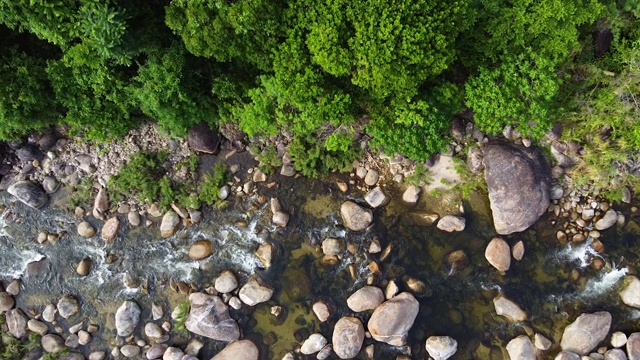 鸟瞰图的景观山溪瀑布流过岩石通过绿色植物在森林。视频素材