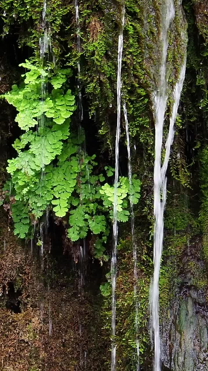 河流和瀑布清澈的水，落在岩石之间的大自然。视频素材