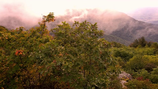 秋天的谢南多厄山谷，雾蒙蒙的日落全景视频素材