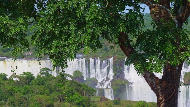 观看伊瓜苏瀑布，Foz do Iguaçu，巴西视频素材