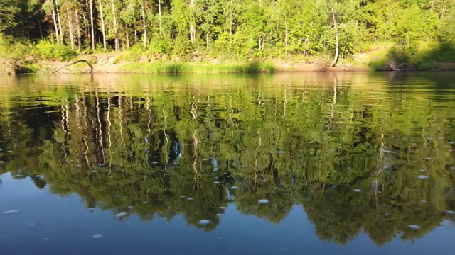 美丽的河风景。水中树木的倒影。视频素材