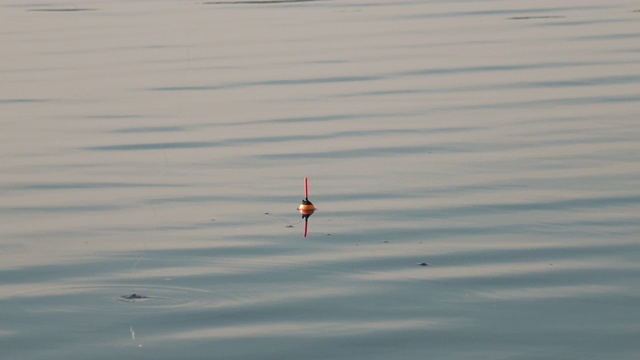 钓鱼浮在水面上。用浮杆在水上钓鱼。视频素材