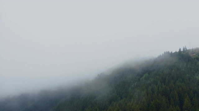 空中俯瞰，雾蒙蒙的鸟瞰图，绿色的景观山覆盖着松树4k视频素材