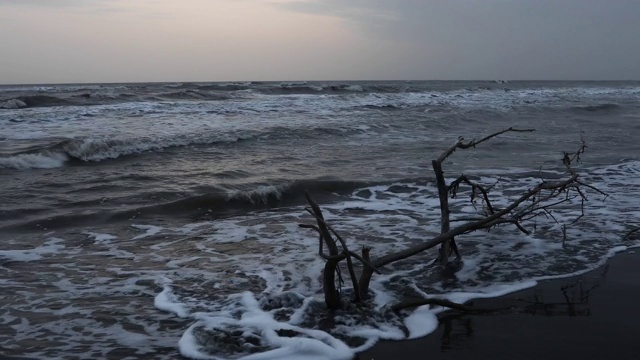 在暴风雨天气下搁浅在海边的浮木视频素材