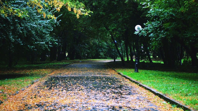 下雨的秋天公园里的湿路。视频素材