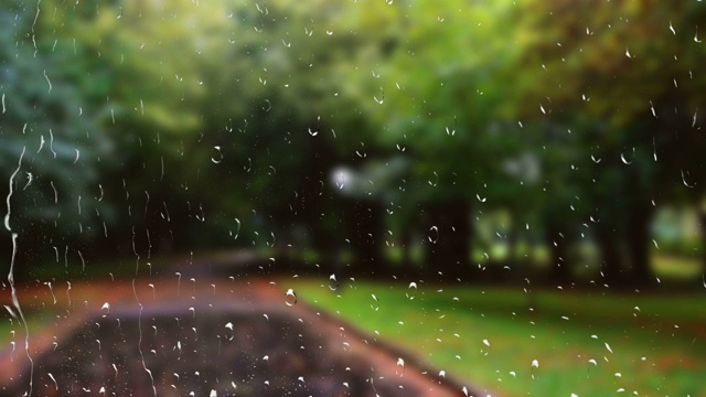 下雨的秋天公园里的湿路。窗外的景色。视频素材