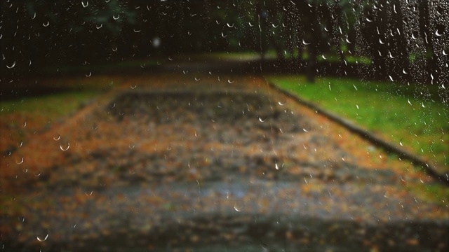 下雨的秋天公园里的湿路。窗外的景色。视频素材