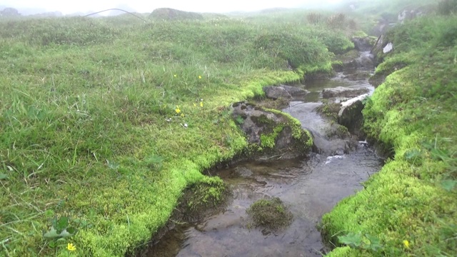 音乐迷雾山溪视频下载