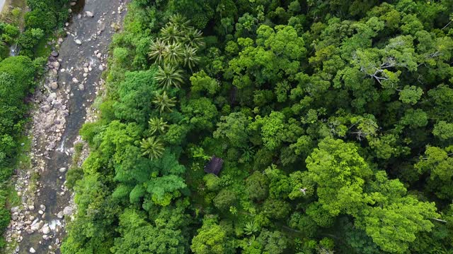 鸟瞰图的景观山溪瀑布流过岩石通过绿色植物在森林。视频素材