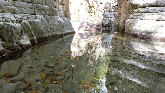 静水池塘视频素材