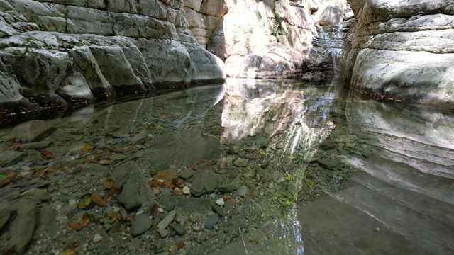 平静的池塘视频素材