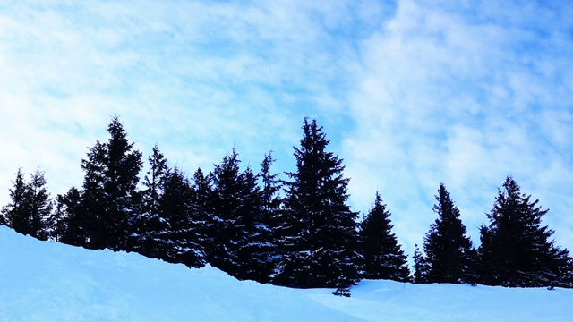 冬天树下的雪。冬天山脉。乌克兰喀尔巴阡山Dragobrat视频素材