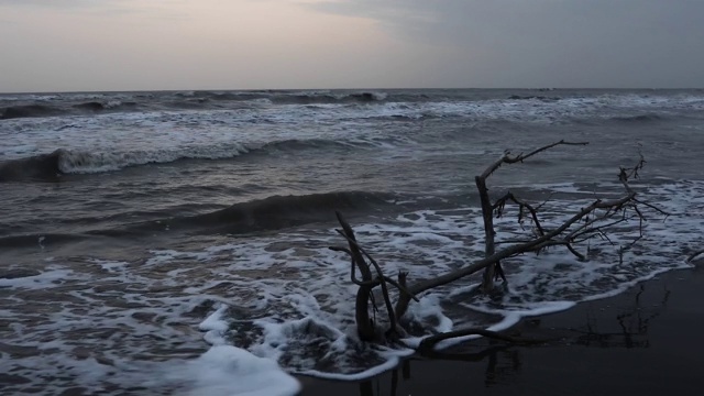 在暴风雨天气下搁浅在海边的浮木视频素材