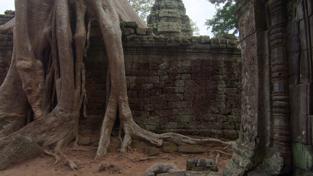 柬埔寨暹粒的Prasat Ta prohm寺庙视频素材